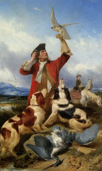 Main Product Photo of Hawking Painting by Richard Ansdell