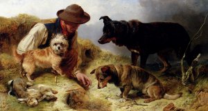 Rabbiting by Richard Ansdell Oil Painting