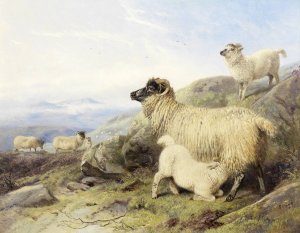 Sheep On A Mountainside by Richard Ansdell Oil Painting