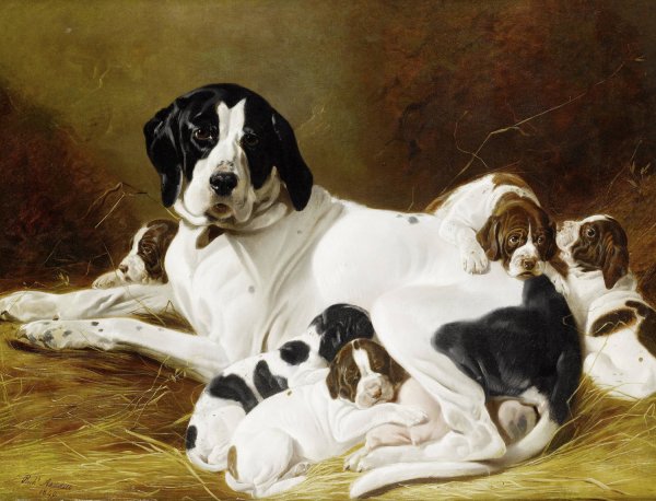 Main Product Photo of The New Litter Painting by Richard Ansdell