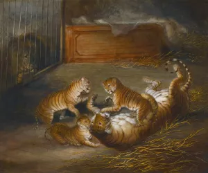 Three 'Liger' Cubs Bred Between A Lion And A Tigress At The Royal Menagerie by Richard Barrett Davis Oil Painting
