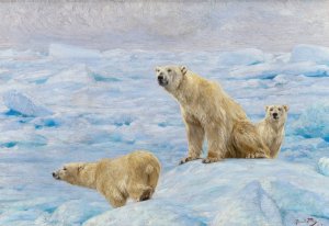 Three Polar Bears by Richard Friese Oil Painting