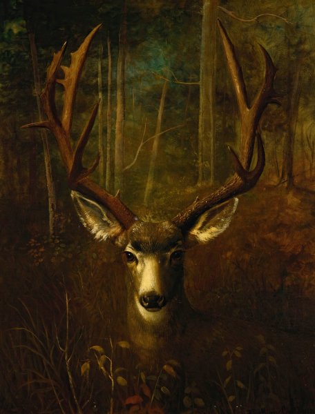 Stag Resting, Colorado Springs by Richard La Barre Goodwin - Hand-Painted Oil Painting Reproduction