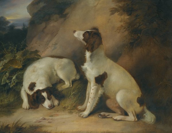 Two springer spaniels in a rocky landscape  by Richard Livesay - Hand-Painted Oil Painting Reproduction