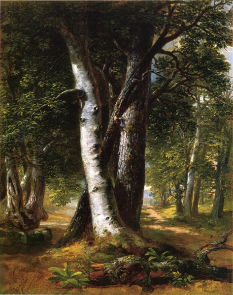Main Product Photo of Woodland Path Painting by Richard Lorenz
