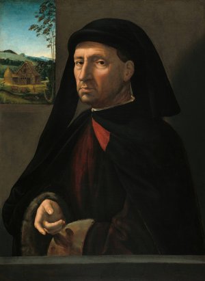 Portrait of a Gentleman by Ridolfo Ghirlandaio Oil Painting