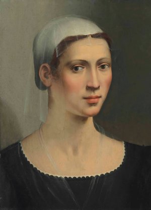 Portrait Of A Lady by Ridolfo Ghirlandaio Oil Painting