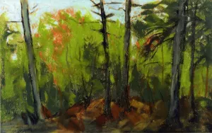 Woodland Scene, Monhegan, Maine by Robert Henri - Oil Painting Reproduction