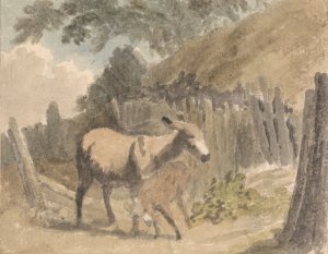 A Donkey and Foal by Robert Hills Oil Painting