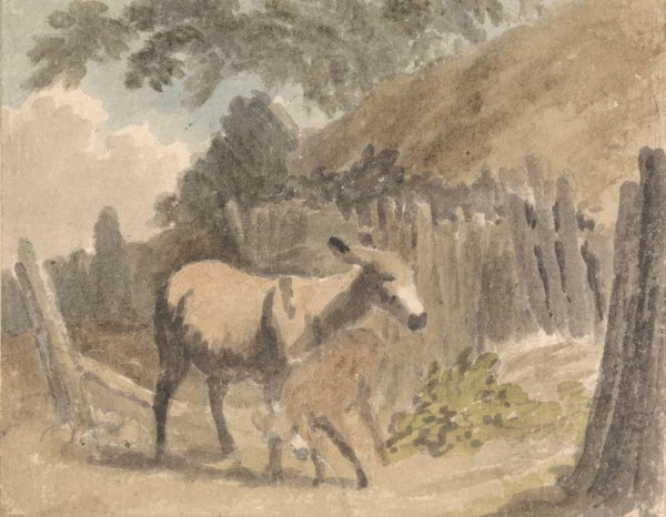 Main Product Photo of A Donkey and Foal Painting by Robert Hills