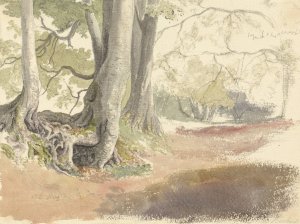 Beech Trees by Robert Hills Oil Painting