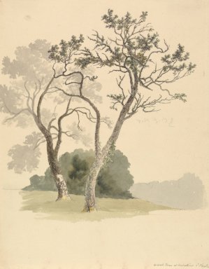 Orchard Trees at Under River near Knole by Robert Hills Oil Painting