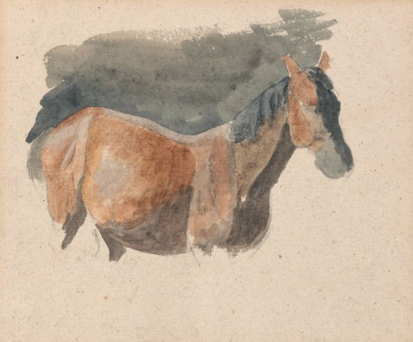 Main Product Photo of Sketch of a Horse Painting by Robert Hills