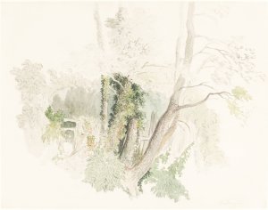 Trees at Beddington by Robert Hills Oil Painting