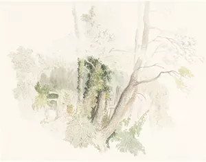 Trees at Beddington by Robert Hills Oil Painting