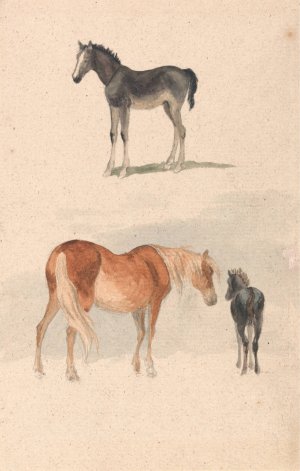 Two Studies; a Foal, and a Mare and Foal by Robert Hills Oil Painting
