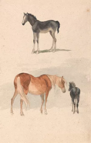 Two Studies; a Foal, and a Mare and Foal Oil painting by Robert Hills