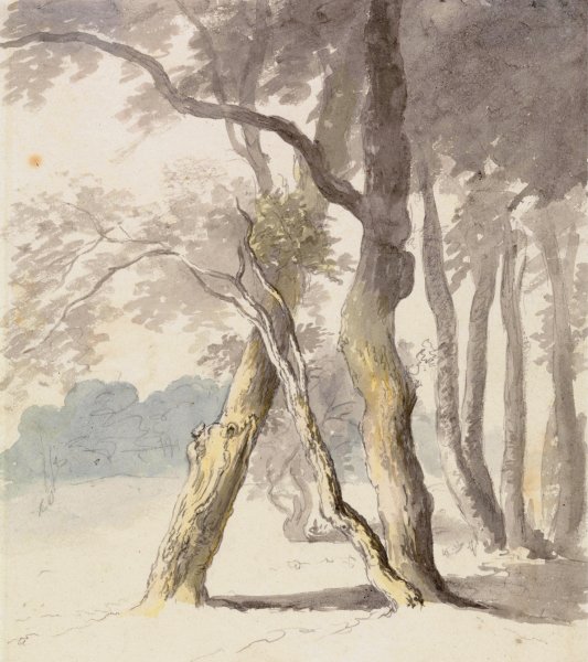 Main Product Photo of Woodland Study  Painting by Robert Hills