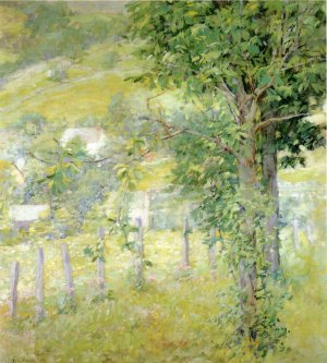 Hillside in Summer