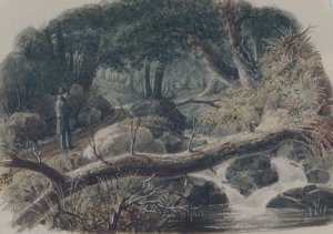 The Entrance to a Wood by Robert Walter Weir Oil Painting