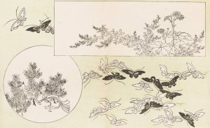 Shinsen moyo no shiori, Pl.03 by Rokkaku Shisui Oil Painting