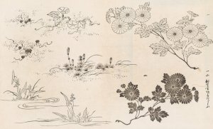 Shinsen moyo no shiori, Pl.10 by Rokkaku Shisui Oil Painting