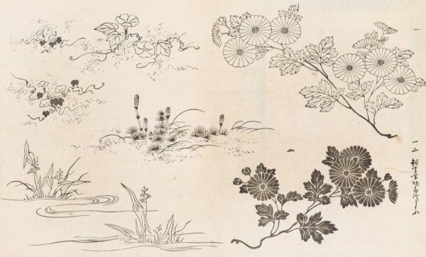 Shinsen moyo no shiori, Pl.10  by Rokkaku Shisui - Hand-Painted Oil Painting Reproduction