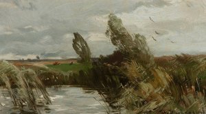 Landscape with water and bulrush by Roman Kazimierz Kochanowski Oil Painting