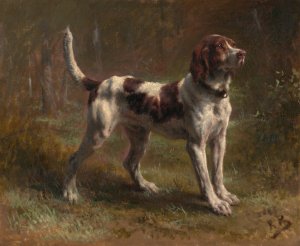 A Limier Briquet Hound by Rosa Bonheur Oil Painting