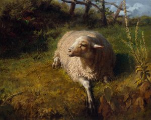 A Sheep at Rest by Rosa Bonheur Oil Painting