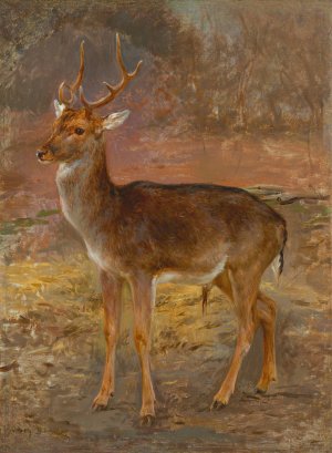 Cerf by Rosa Bonheur Oil Painting