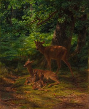 Deer in Repose by Rosa Bonheur Oil Painting