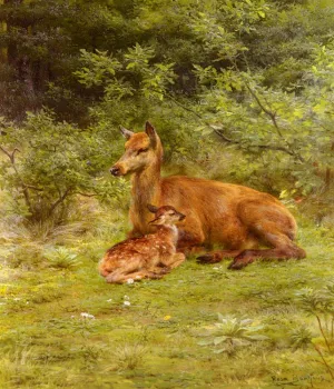 Doe and Fawn in a Thicket painting by Rosa Bonheur