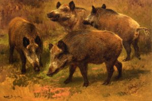 Four Boars in a Landscape