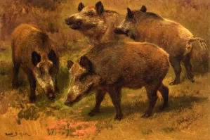 Four Boars in a Landscape Oil painting by Rosa Bonheur