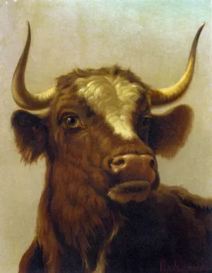 Head of a Bull painting by Rosa Bonheur