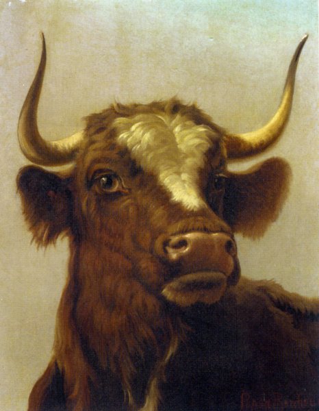 Main Product Photo of Head of a Bull Painting by Rosa Bonheur