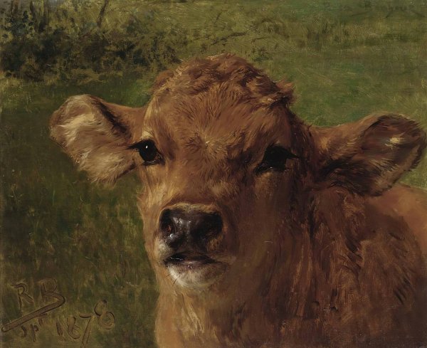 Head of A Calf  by Rosa Bonheur - Hand-Painted Oil Painting Reproduction