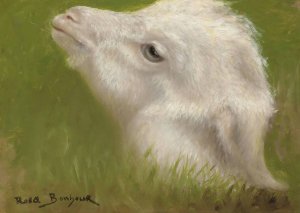 Head of A Lamb by Rosa Bonheur Oil Painting