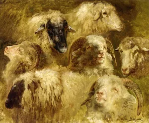 Heads of Ewes and Rams by Rosa Bonheur Oil Painting