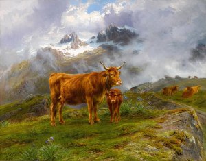 Highland Cattle by Rosa Bonheur Oil Painting