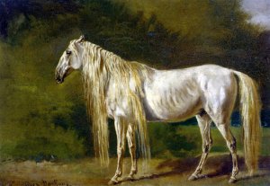 Le Cheval Blanc by Rosa Bonheur Oil Painting