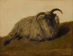 Le Merinos by Rosa Bonheur Oil Painting