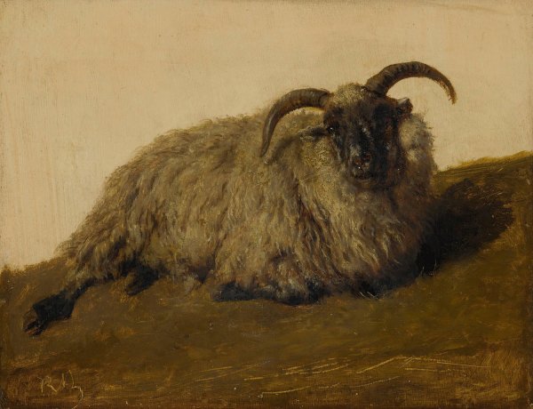 Le Merinos by Rosa Bonheur - Hand-Painted Oil Painting Reproduction