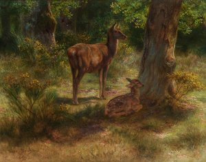 Les Cerfs Et Les Fauves Dans Un Bois by Rosa Bonheur Oil Painting