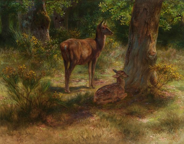 Les Cerfs Et Les Fauves Dans Un Bois by Rosa Bonheur - Hand-Painted Oil Painting Reproduction