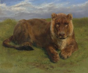 Lioness At Rest by Rosa Bonheur Oil Painting