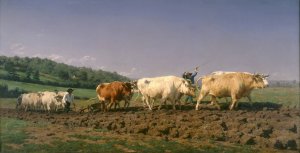 Ploughing in Nevers by Rosa Bonheur Oil Painting