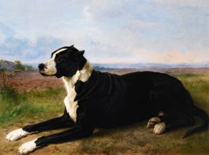 Portrait Of A Mastiff-Labrador In A Landscape by Rosa Bonheur Oil Painting