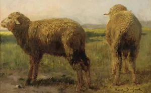 Sheep In A Meadow by Rosa Bonheur Oil Painting
